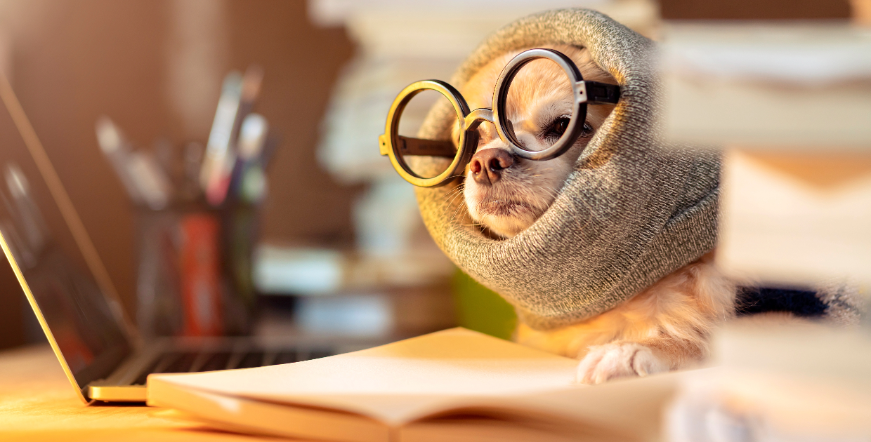 Check out the Teen Zone